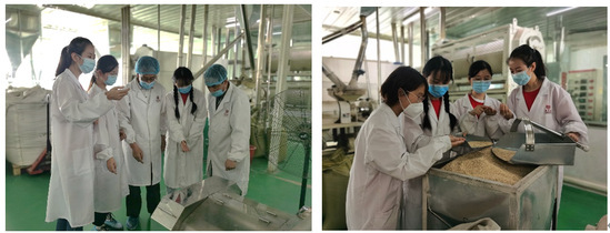 燕麥之香傳四方——青年紅色筑夢之旅中的技術(shù)交流與產(chǎn)業(yè)賦能